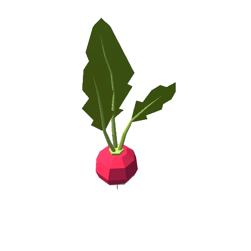 Radish B